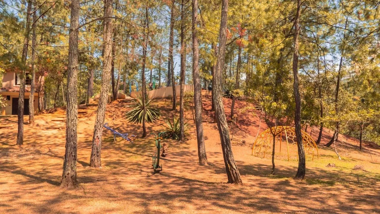 Área de juegos infantiles en un bosque de pinos en Juquila Oaxaca