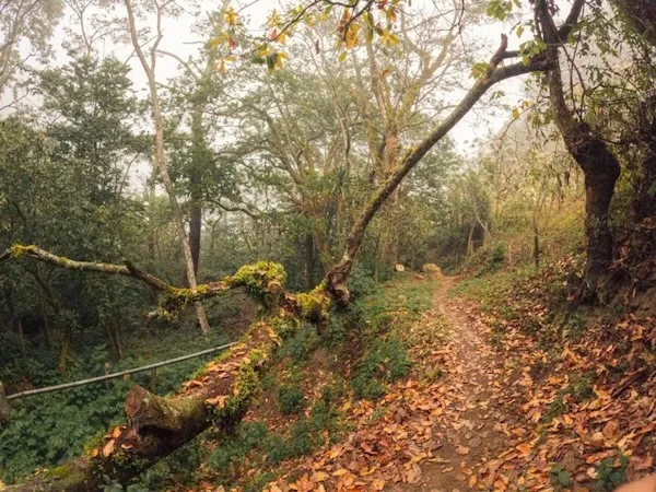 Sendero ecoturistico rio frio en Juquila Oaxaca